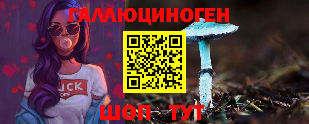 Псилоцибиновые грибы прущие грибы  хочу   Фрязино  Вход с VPN 